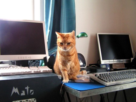 KONICA MINOLTA DIGITAL CAMERA