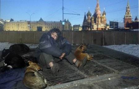 1 homeless dogs cold spell