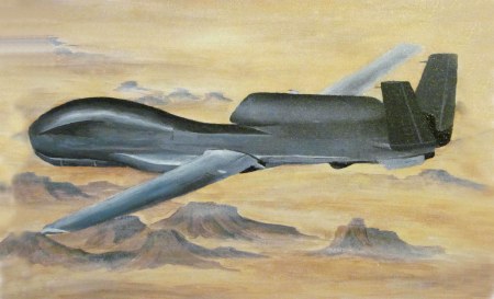 5 global hawk painting