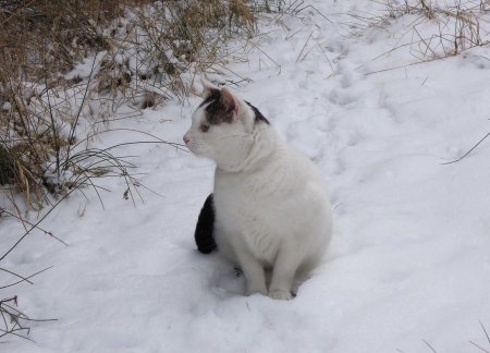 9 Ma Xi snow DSCN1093