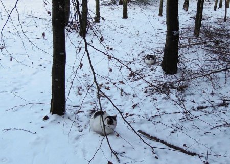 Min Ki Ma Xi snow DSCN1024