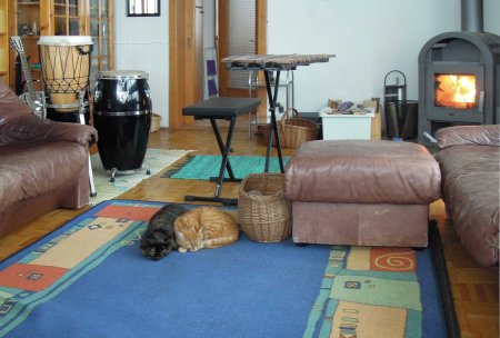 Mia Gandhi carpet DSCN2499