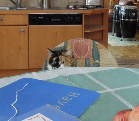 Rosy kitchen table DSCN2391