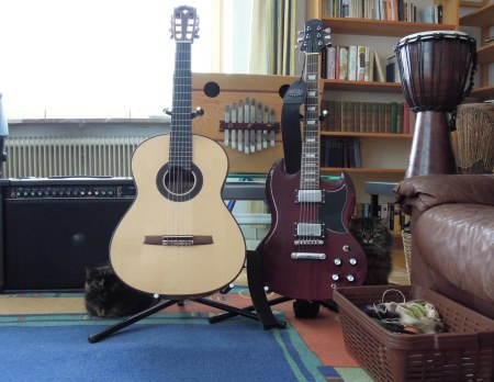 Wendy Mia guitars DSCN2572