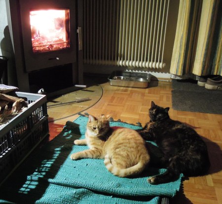 1 Gandhi Mia oven DSCN2366