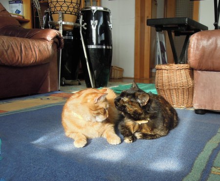 3 Gandhi Mia sitting room DSCN2782