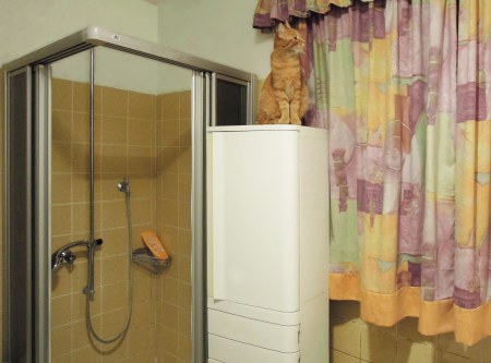 4 Gandhi bath DSCN2743