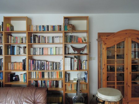 5 Gandhi bookshelf DSCN2210