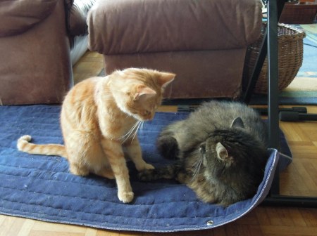 7Gandhi Wendy sitting room DSCN2765