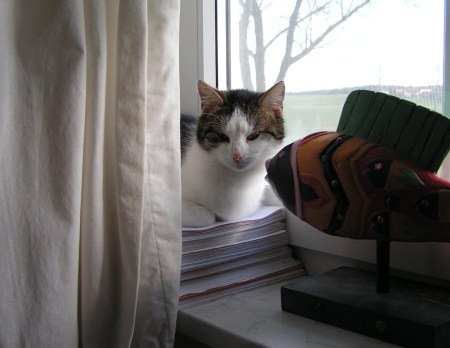 KONICA MINOLTA DIGITAL CAMERA