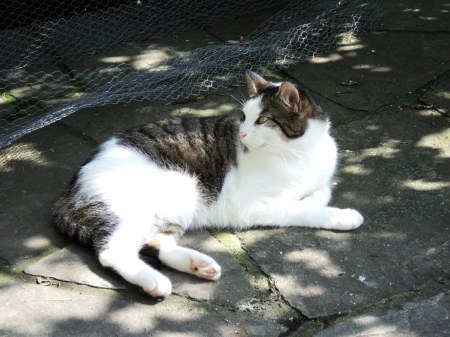 3 Min Ki 08 2010 DSC00111