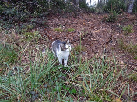 6 Min Ki forest DSCN0043