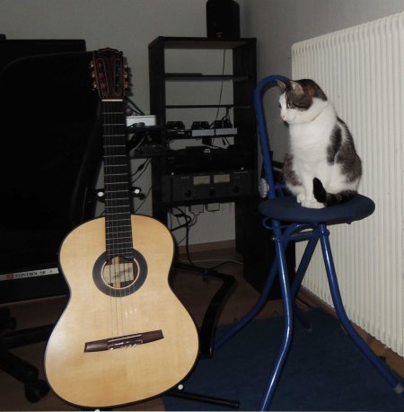 8 Min Ki guitar DSCN0174