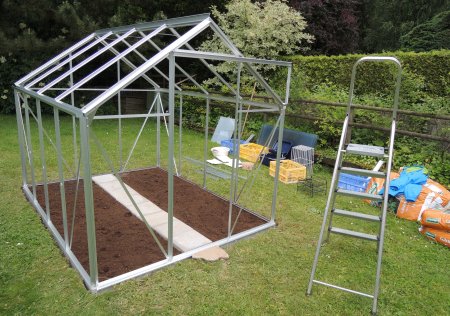 Greenhouse 3 DSCN0652