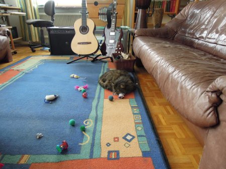 Wendy guitars DSCN2510