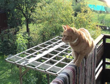 Gandhi balancing DSC01114