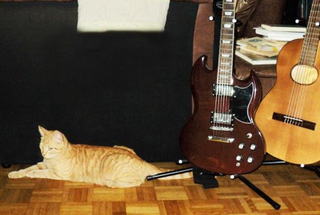 Gandhi guitars DSC00707