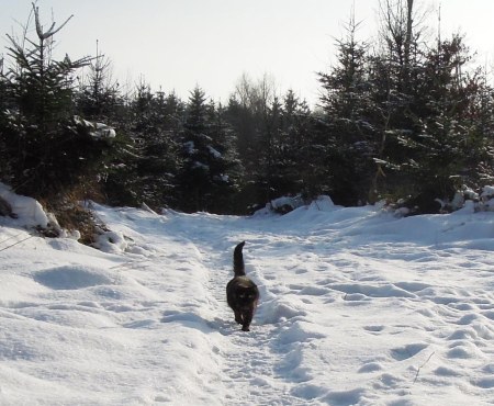 Mia snow forest DSCN2342