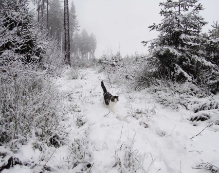 Min Ki Winter DSCN0462