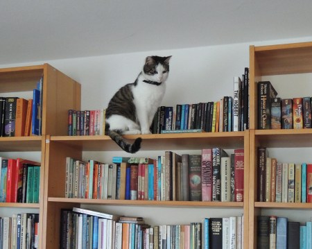 Min Ki bookshelf DSCN0844