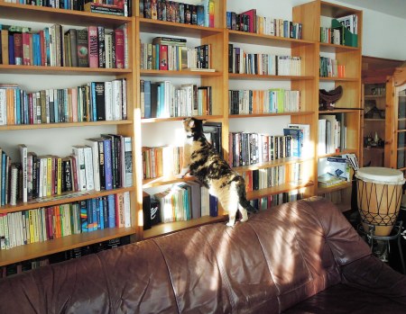 Rosy bookshelf DSCN2932