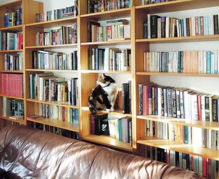 Rosy bookshelf DSCN2939