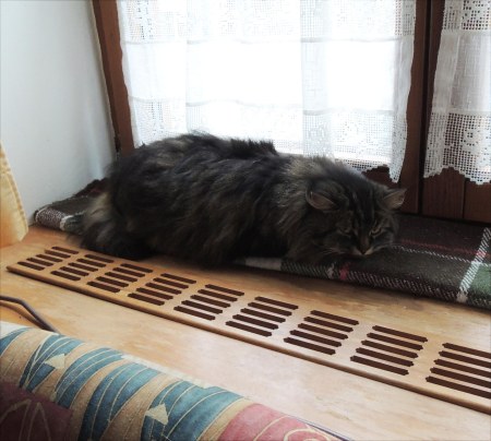 Wendy window sill DSCN0469