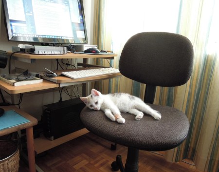 Linda computer DSCN3098