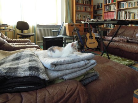 Linda guitars DSCN3104