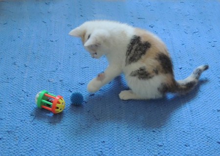 Linda playing DSCN1014