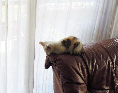 Linda couch DSCN3124