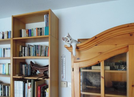 Linda glass cabinet DSCN3183