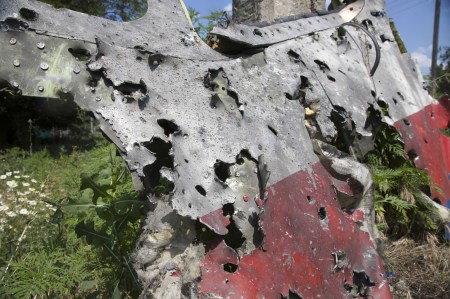 MH17 panel 2