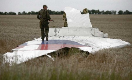 MH17 debris 7