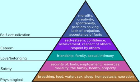 Maslow's Hierarchy of Needs