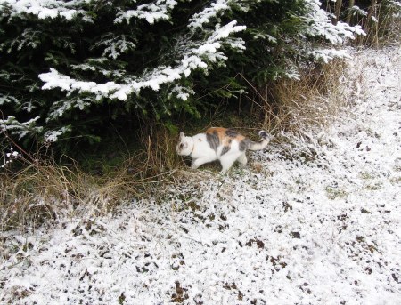 Lindas first winter 9