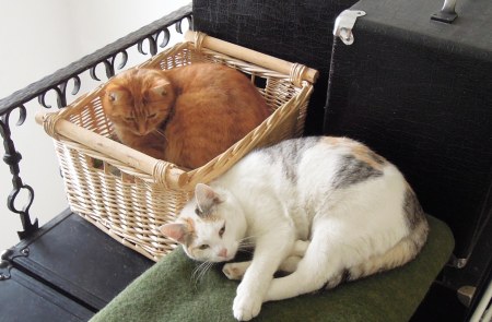 Linda Gandhi hall upstairs DSCN3674