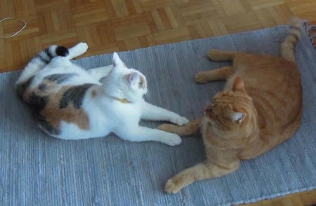 Gandhi Linda playing DSCN3543