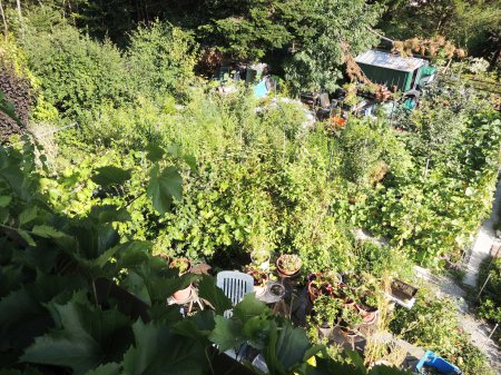 garden from balcony DSCN1337