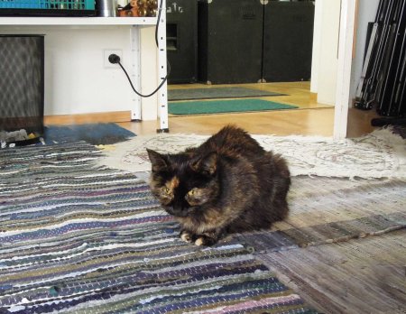 Mia music studio DSCN3726 2