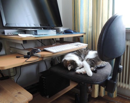 Min Ki computer sleeping DSCN0629