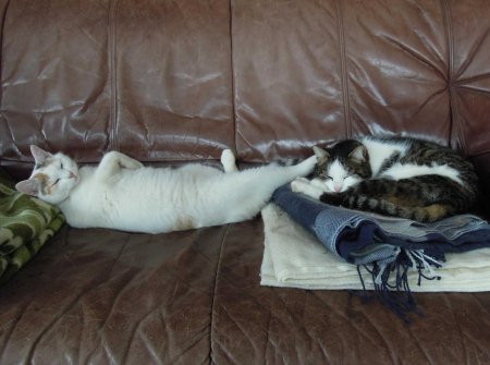 Linda Min Ki couch DSCN3539