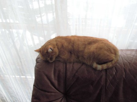 Gandhi couch DSCN4346