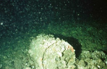 rusting barrel nuclear waste
