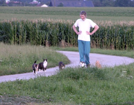 herding_cats_is_not_easy