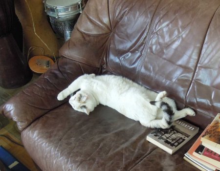 Linda books DSCN4590