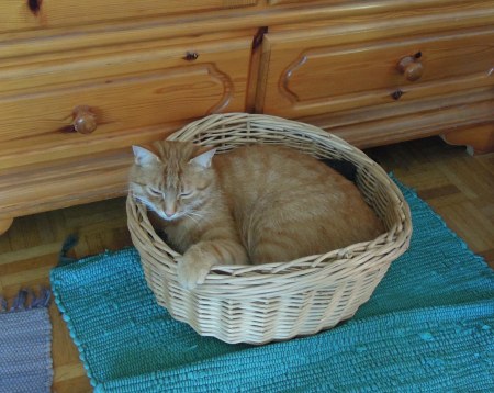 Gandhi basket DSCN4603