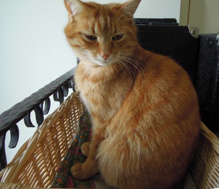 gandhi-hall-dscn3685