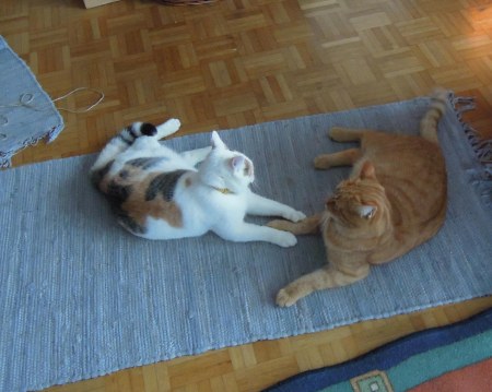 gandhi-linda-playing-dscn3543