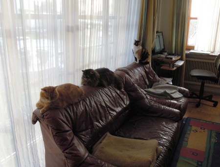 gandhi-wendy-rosy-couch-dscn3572